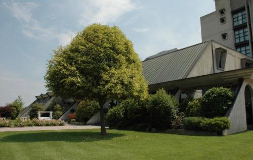 Hotel Cavallino Faenza Exterior photo